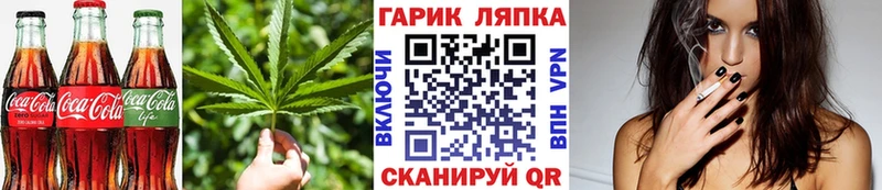 ссылка на мегу ССЫЛКА  продажа наркотиков  Можайск  Canna-Cookies марихуана 