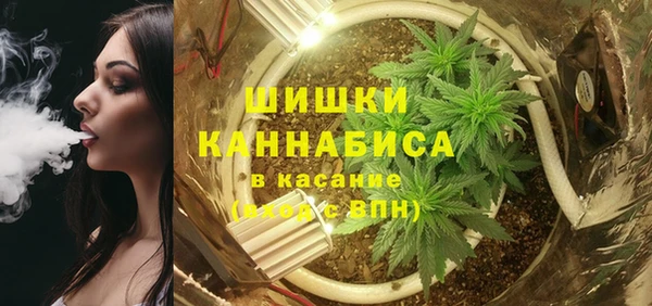 Альфа ПВП Богородск