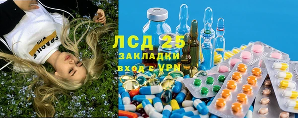 круглые Бородино