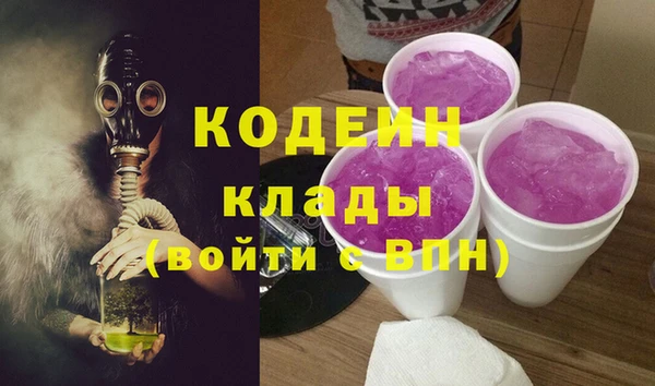 хмурый Семилуки