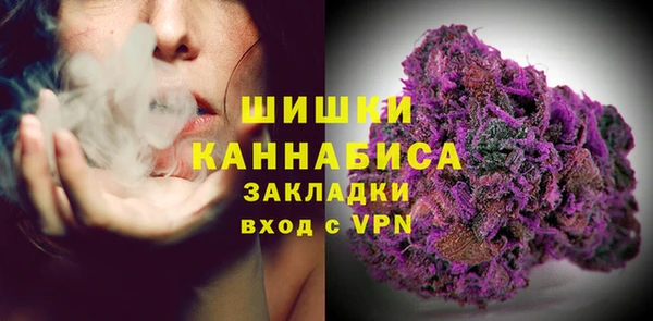 хмурый Семилуки