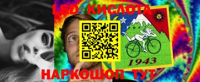 индика Гагарин