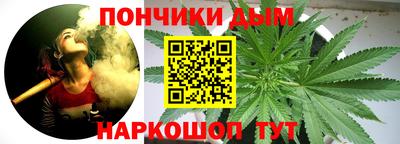 индика Гагарин