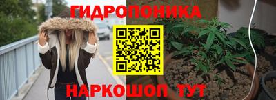 индика Гагарин