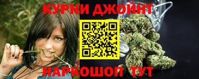 индика Гагарин