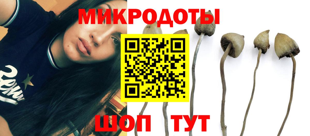 Галлюциногенные грибы Cubensis  Псилоцибиновые грибы мухоморы  Вход с VPN  Можайск 